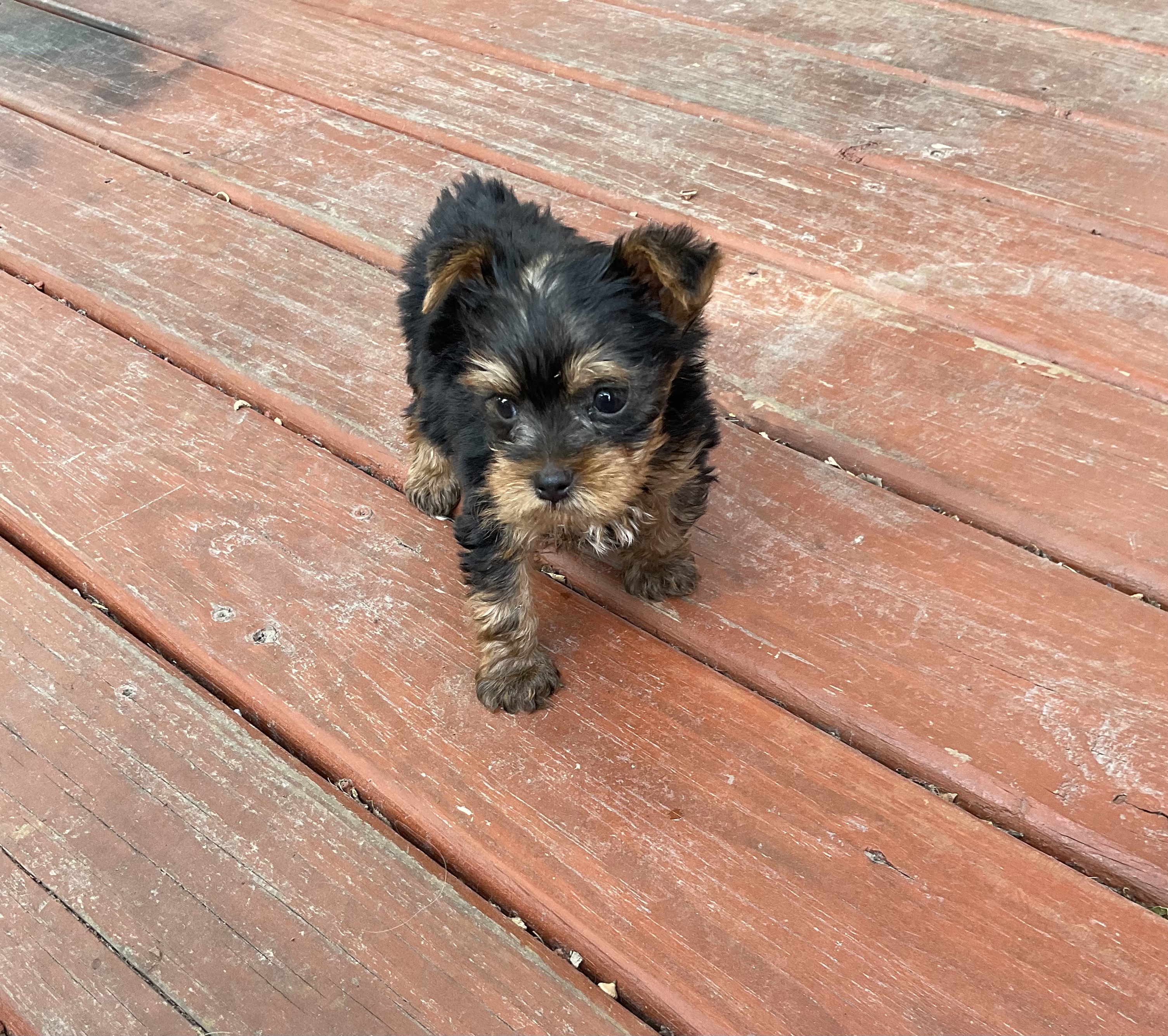 14EC4E6B-F485-4100-AB93-DB8C5B043F0A