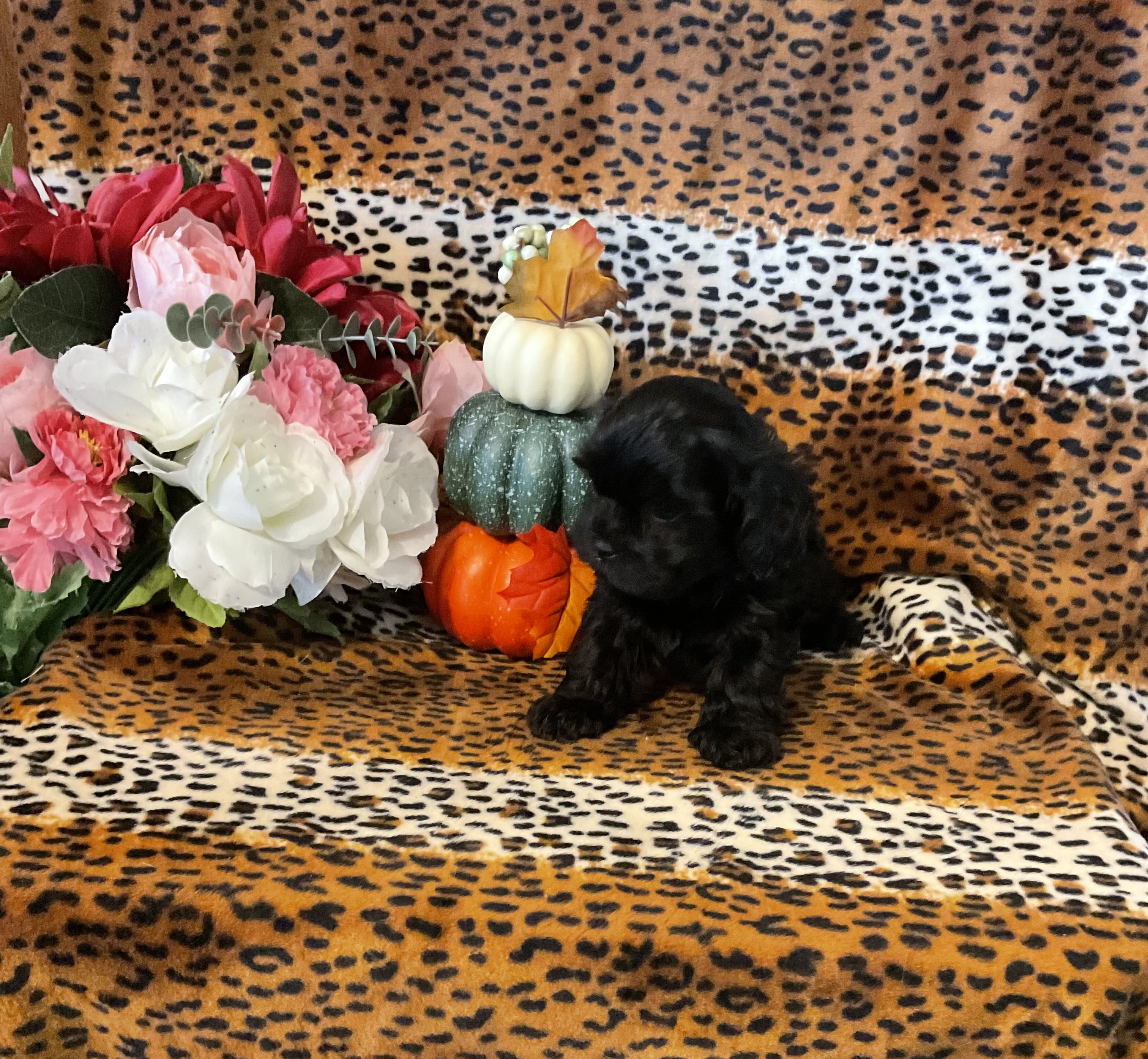 3147D76B-E25A-406C-B314-EE0FCF8674E7