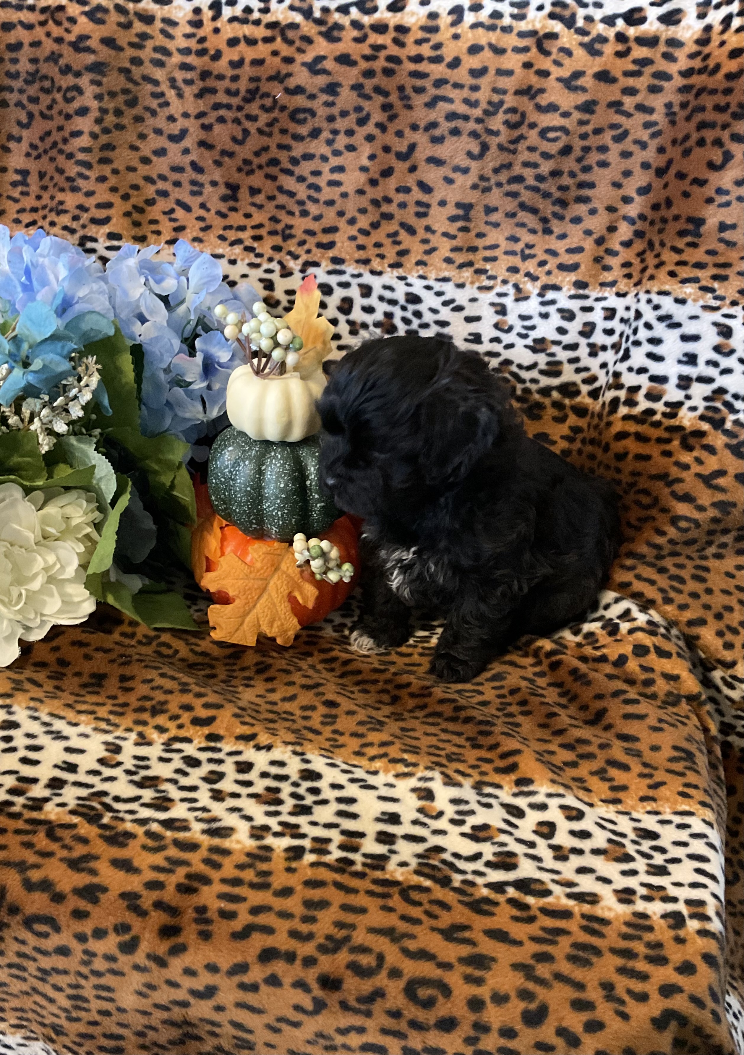 AEA0473E-4D7D-4248-9DA2-008024F3716C